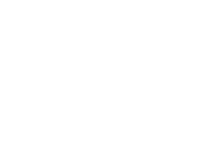 SEYI