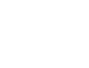 ALPHA HI-LEX